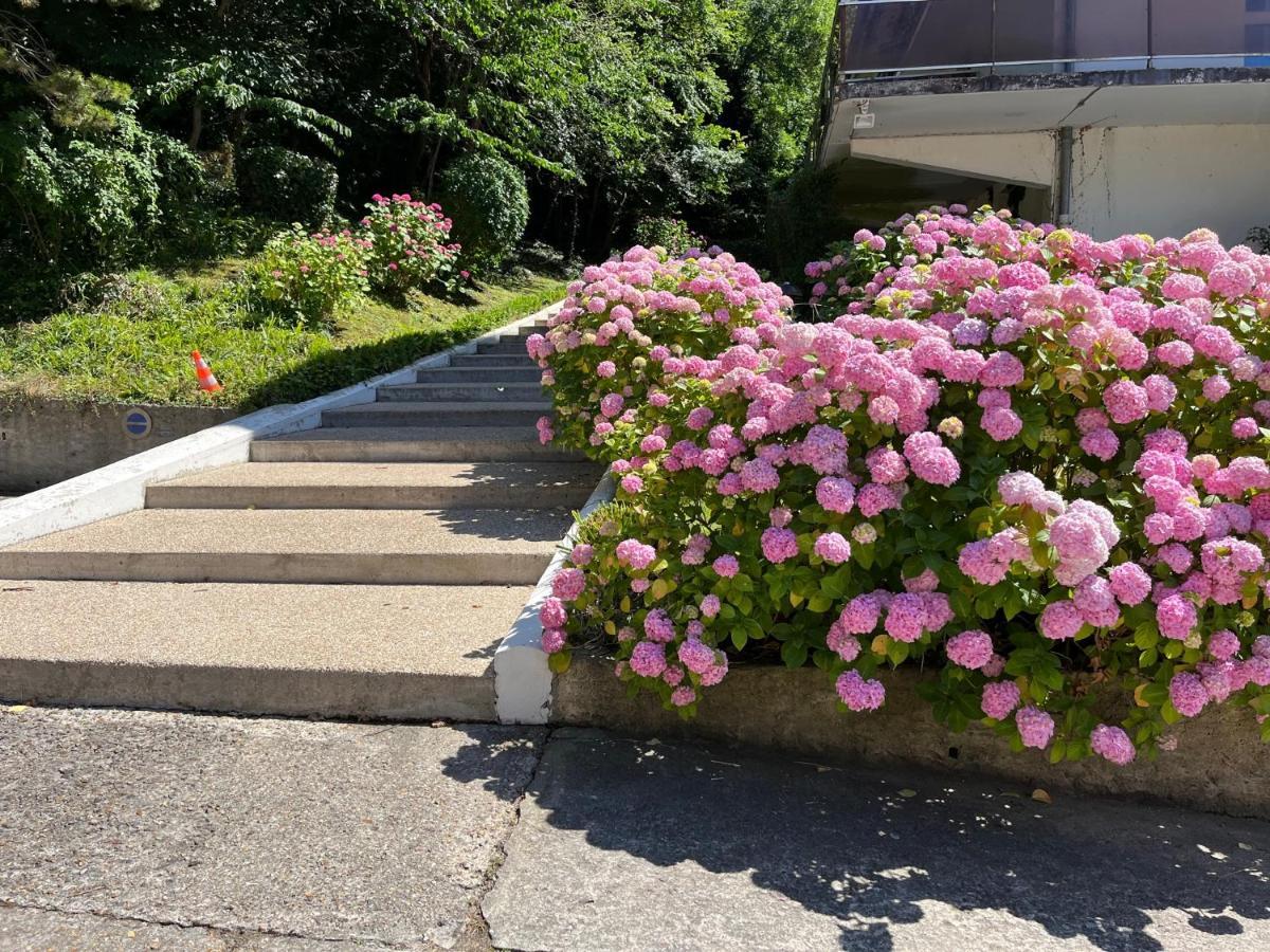 Trouville, Appartement Renove Avec Grande Terrasse Au Calme Dış mekan fotoğraf